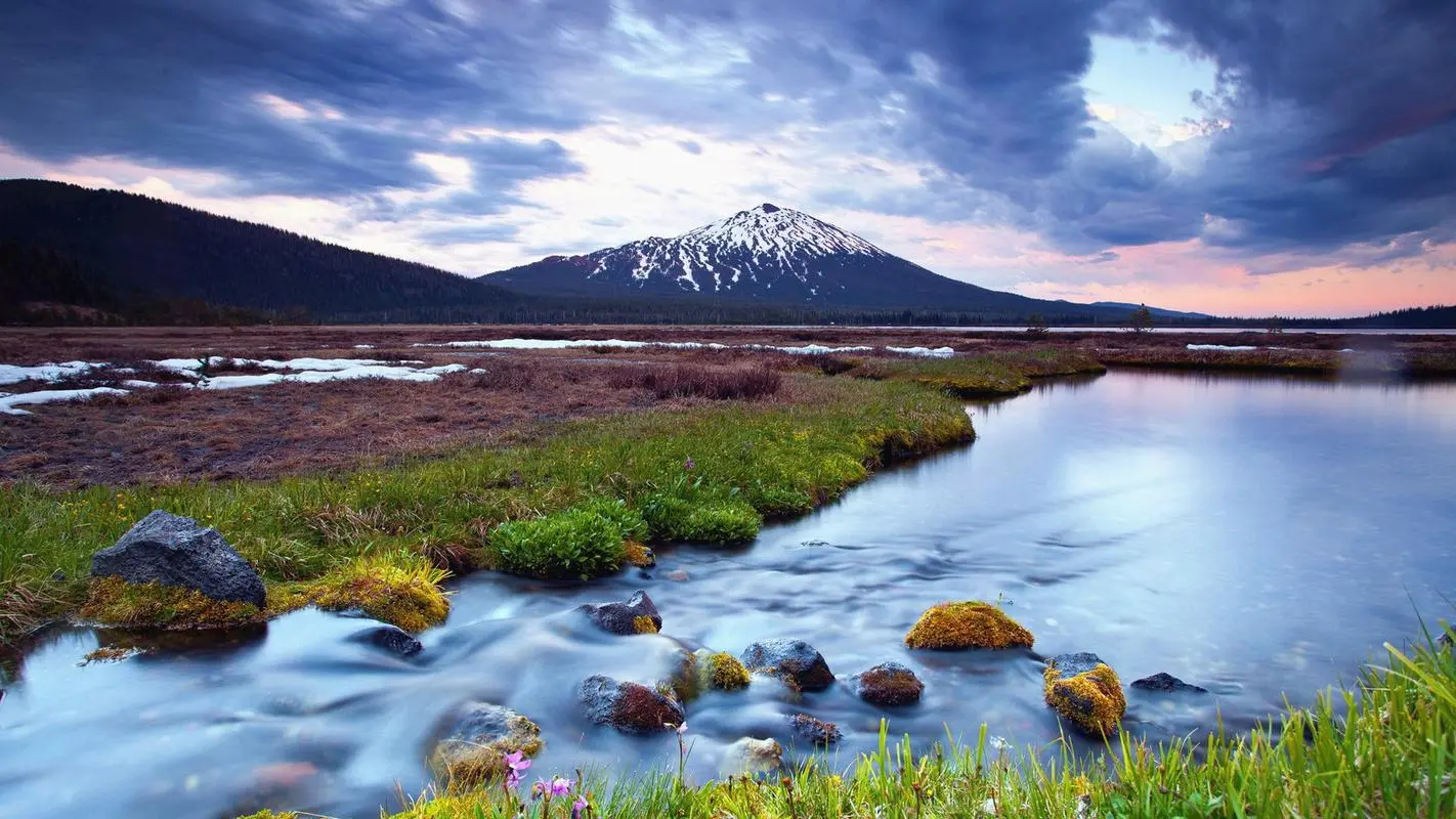 网络化高性能新型